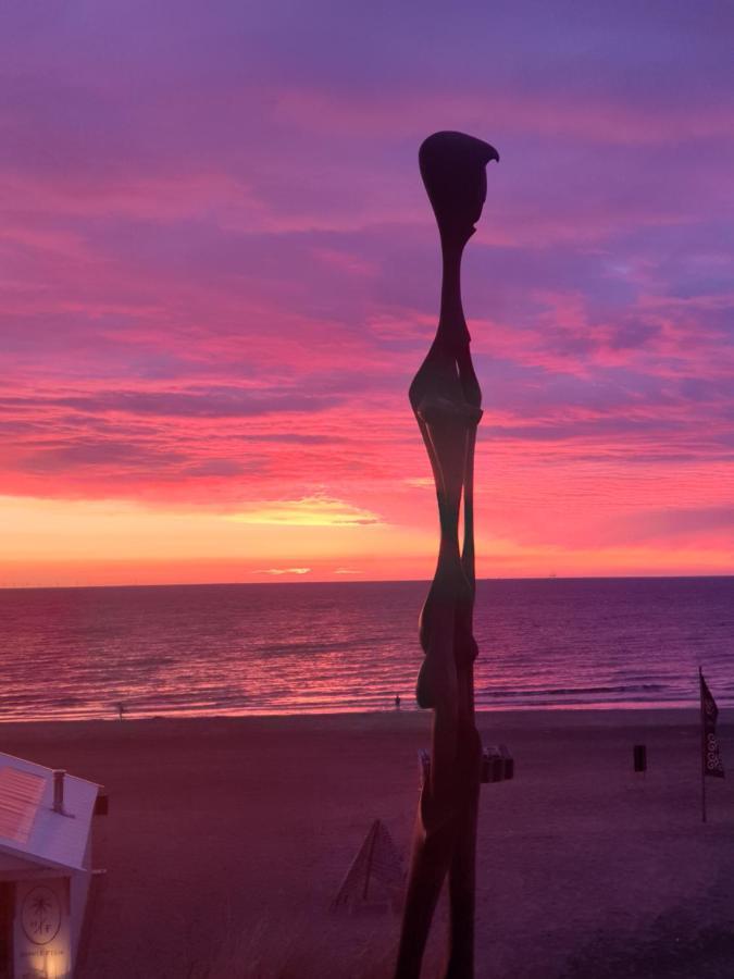 Sunset Lodge 잔드보르트 외부 사진
